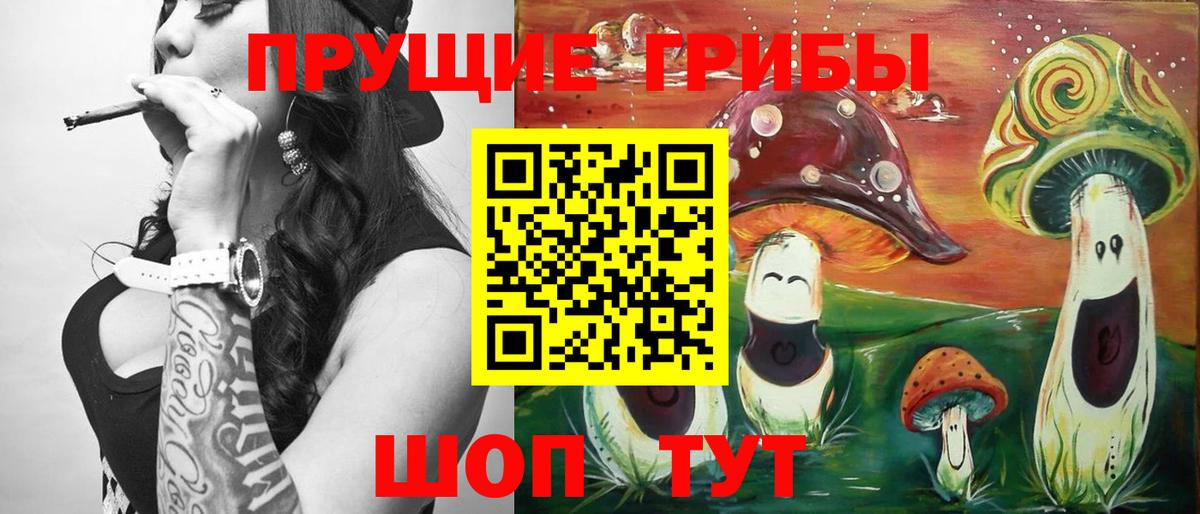 Галлюциногенные грибы Cubensis  Вход с VPN  Балашиха  Псилоцибиновые грибы Cubensis 