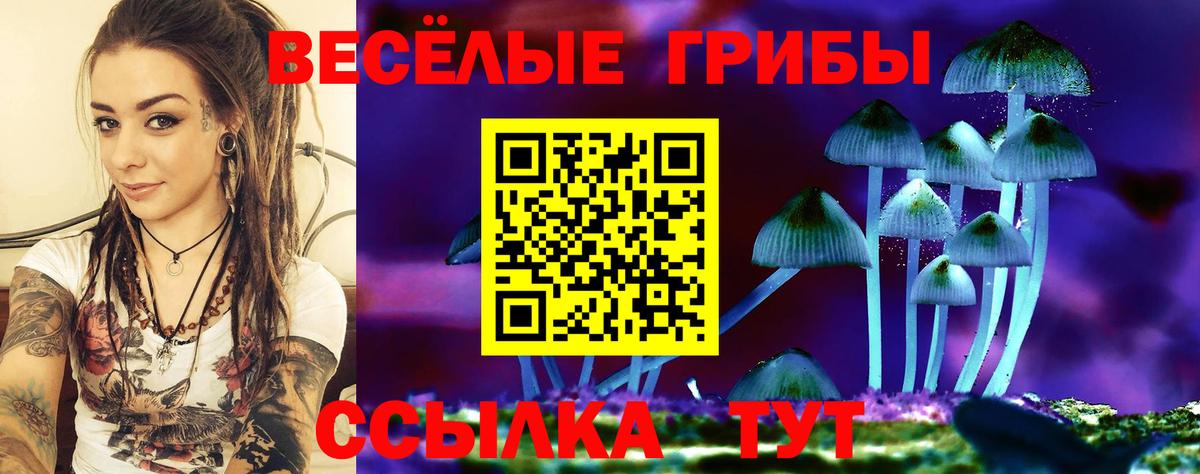 Псилоцибиновые грибы GOLDEN TEACHER Балашиха